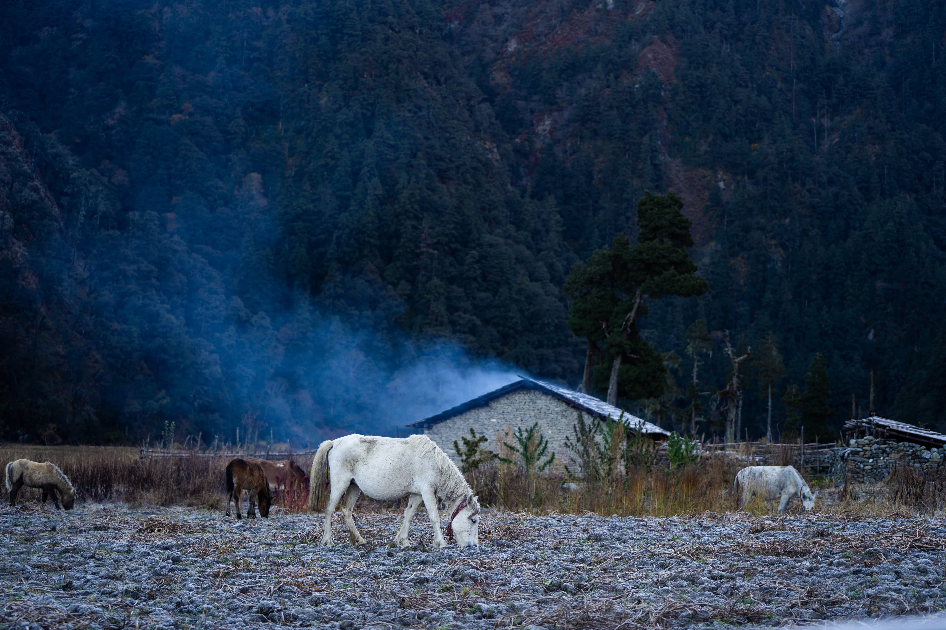Evening smoke over a mountain homestead