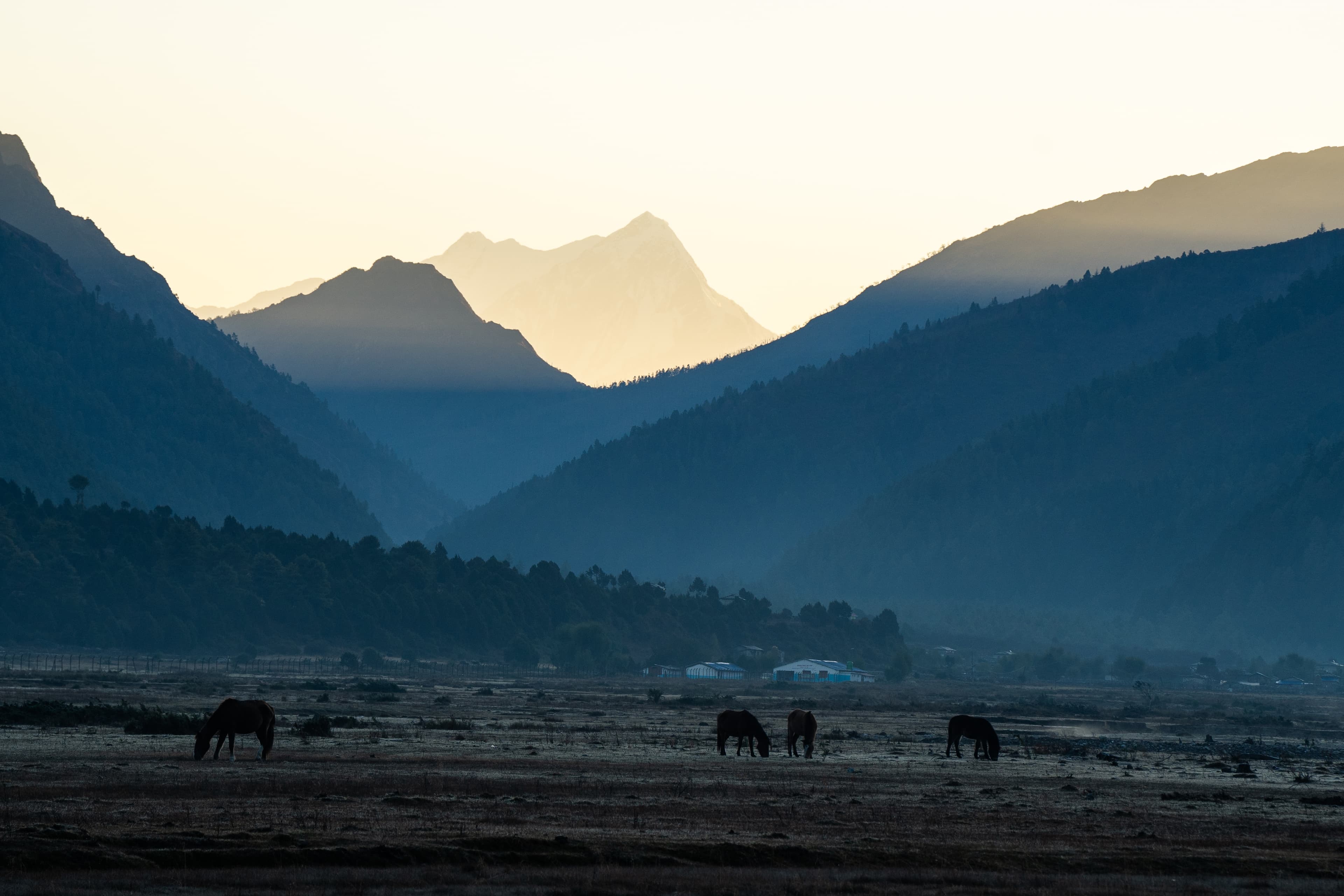 Horses grazing beneath the peaks