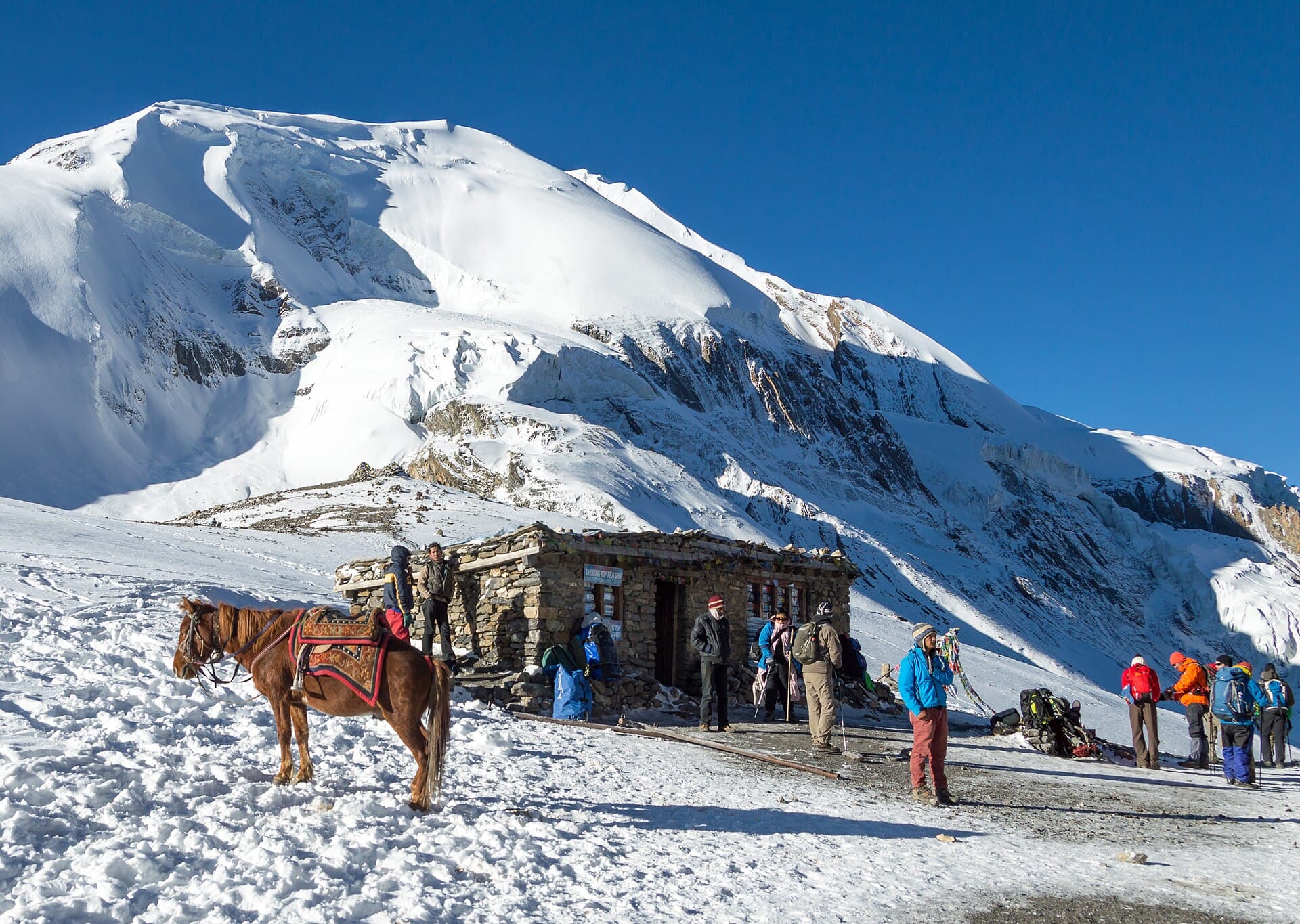 When to Trek the Annapurna Circuit: A Season-by-Season Guide